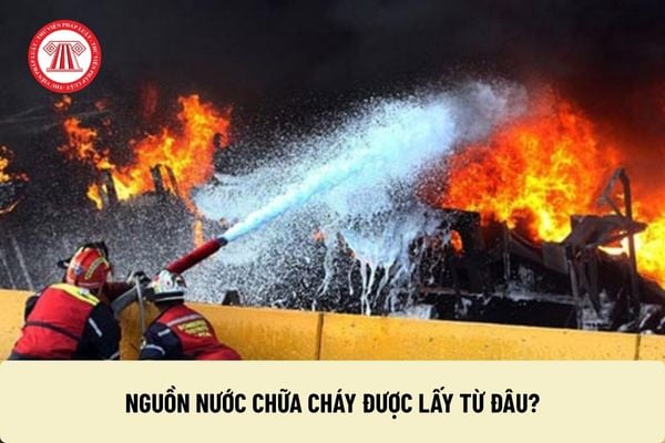 Pháp luật