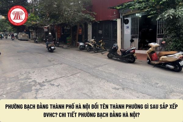 Pháp luật