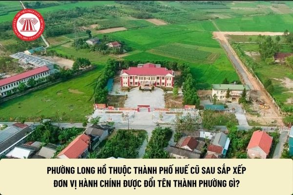 Pháp luật