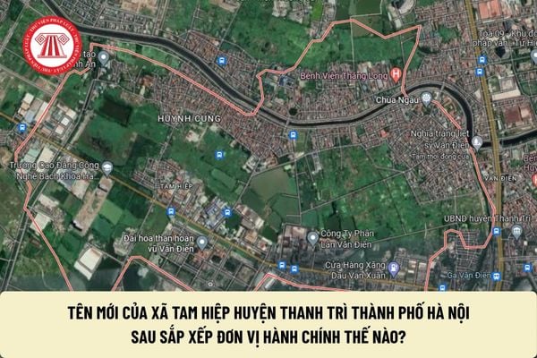 Pháp luật