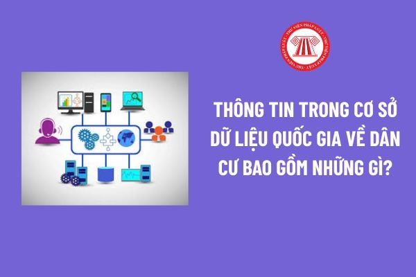 Pháp luật