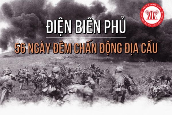 Pháp luật