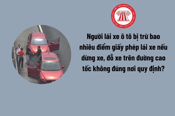 Pháp luật