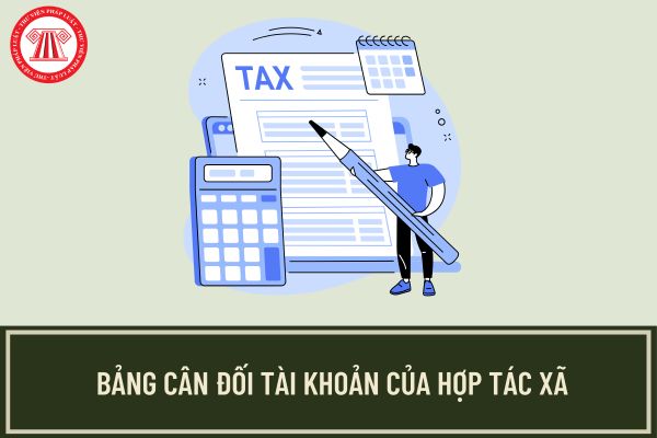 Bảng cân đối tài khoản của hợp tác xã theo Thông tư 71/2024/TT-BTC?