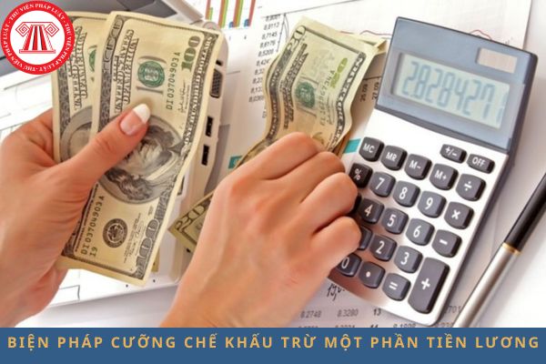 Pháp luật