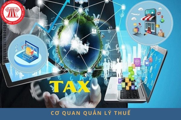 Pháp luật