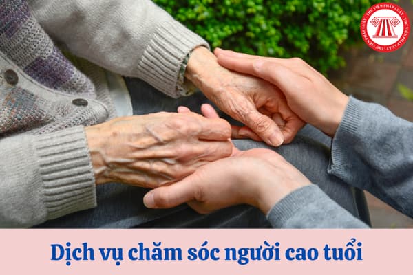 Dịch vụ chăm sóc người cao tuổi có phải chịu thuế giá trị gia tăng?