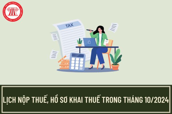 Pháp luật
