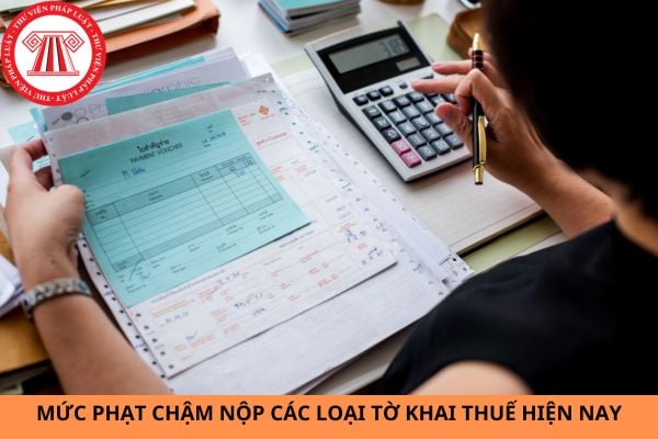 Pháp luật