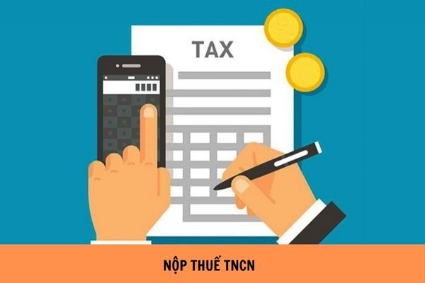 Người nộp thuế có được kê khai, tính nộp thuế TNCN theo quý không?