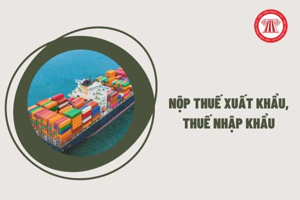 Pháp luật