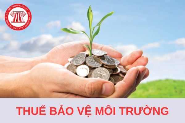 Ai phải đóng thuế bảo vệ môi trường? Thuế bảo vệ môi trường chỉ phải nộp một lần đối với hàng hóa nào?