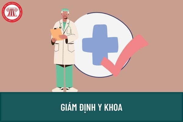 Giám định viên của Hội đồng giám định y khoa cấp trung ương do ai quyết định bổ nhiệm? Mỗi chuyên khoa phải có ít nhất bao nhiêu giám định viên?