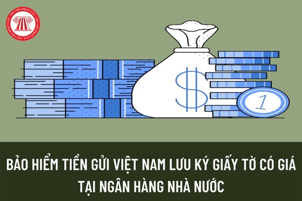 Bảo hiểm tiền gửi Việt Nam được phép lưu ký và sử dụng giấy tờ có giá tại Ngân hàng Nhà nước không?