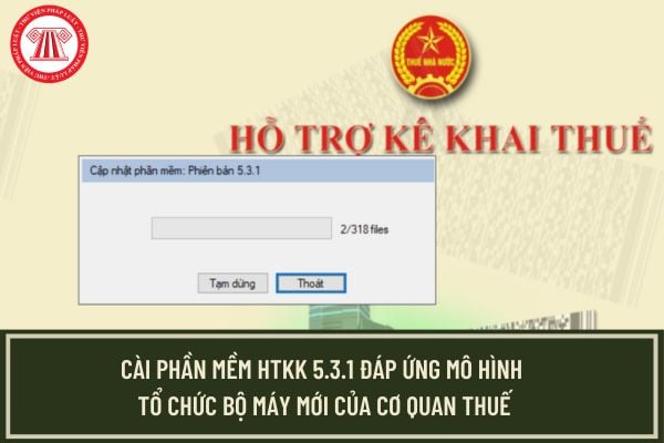 Pháp luật