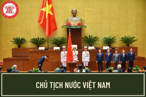 Chủ tịch nước Việt Nam mới nhất hiện nay là ông Nguyễn Xuân Phúc, người đang được đánh giá cao về năng lực và kinh nghiệm lãnh đạo. Song song với việc giữ vững và phát triển kinh tế, chủ tịch ước mơ xây dựng một Việt Nam giàu đẹp, xã hội công bằng, dân chủ và văn minh.