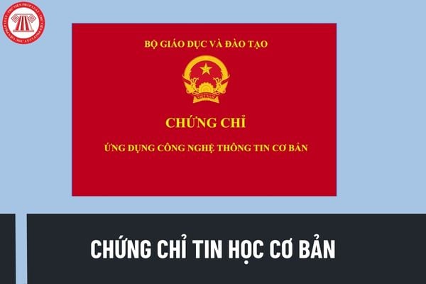 Chứng chỉ tin học cơ bản là gì? Nội dung ôn thi chứng chỉ tin học cơ bản gồm những nội dung nào?