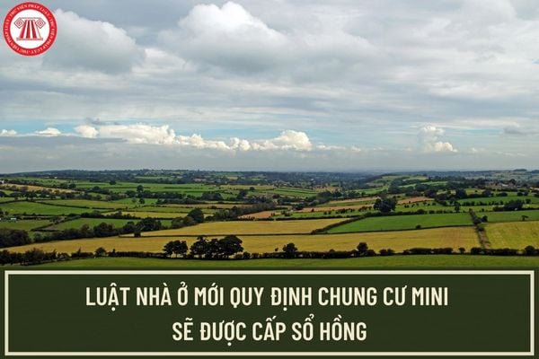 Luật Nhà ở mới quy định chung cư mini sẽ được cấp sổ hồng có đúng không? Luật Nhà ở mới có hiệu lực từ khi nào?