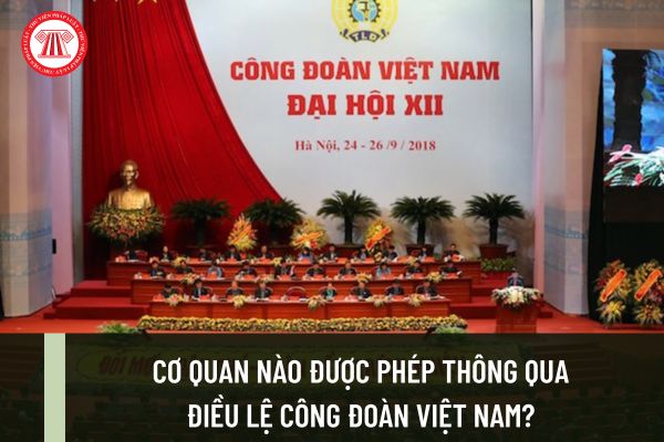 Cơ quan nào được phép thông qua Điều lệ Công đoàn Việt Nam? Công đoàn Việt Nam đã trải qua mấy kỳ đại hội?