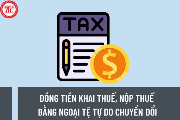 Ai là người quy định đồng tiền khai thuế, nộp thuế bằng ngoại tệ tự do chuyển đổi? Khai thuế, nộp thuế bằng ngoại tệ thực hiện thế nào?