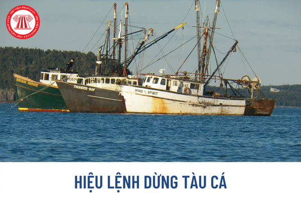 Đoàn tuần tra ra hiệu lệnh dừng tàu cá để kiểm tra trong trường hợp nào? Làm sao nhận biết hiệu lệnh dừng tàu cá?