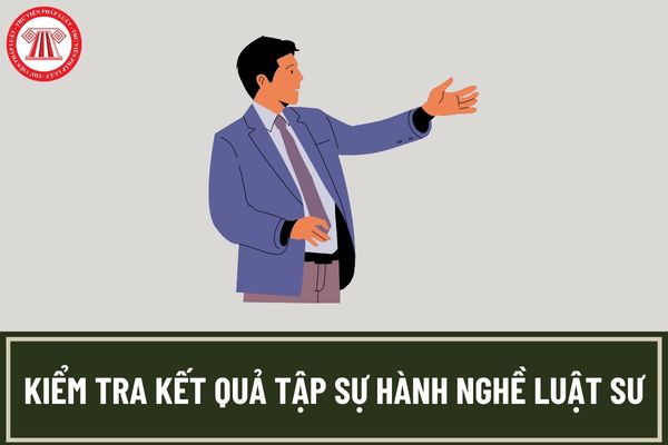 Giấy đề nghị tham dự kiểm tra kết quả tập sự hành nghề luật sư chuẩn nhất? Việc kiểm tra kết quả tập sự hành nghề luật sư được tổ chức mấy lần trong năm?