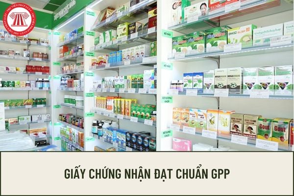 Phí cấp giấy chứng nhận GPP phải nộp là bao nhiêu? Mẫu giấy chứng nhận đạt chuẩn GPP quy định như thế nào? 