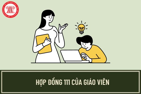 Hợp đồng 111 của giáo viên là gì? Giáo viên ký hợp đồng 111 có được tăng lương từ 01/7/2024 không?