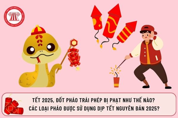 Pháp luật