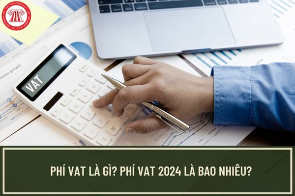 Phí VAT là gì? Phí VAT năm 2024 là bao nhiêu? 7 trường hợp không phải khai, nộp phí VAT là trường hợp nào?