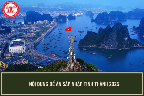 Pháp luật