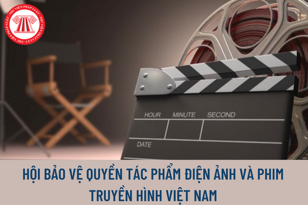 Bảo vệ quyền tác phẩm điện ảnh: Hiện nay, việc đảm bảo quyền tác phẩm điện ảnh đang được quan tâm và chú trọng hơn bao giờ hết. Các chính sách mới đã giúp cho các nhà sản xuất tránh được việc đạo nhái và bảo vệ những tác phẩm của mình. Điều này đem lại cơ hội phát triển rất lớn cho ngành điện ảnh Việt Nam trong tương lai.