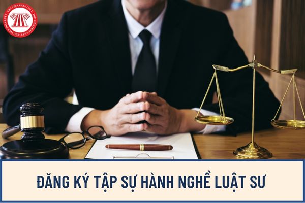 Giấy đề nghị đăng ký tập sự hành nghề luật sư mới nhất hiện nay? Người tập sự hành nghề luật sư phải đáp ứng những điều kiện nào?