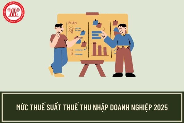 Mức thuế suất thuế thu nhập doanh nghiệp 2025 là bao nhiêu?