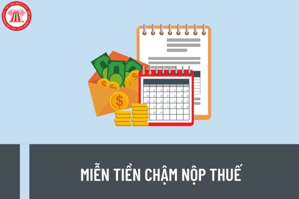 Hồ sơ, thủ tục đề nghị miễn tiền chậm nộp tiền thuế thực hiện như thế nào? Trường hợp nào không tính tiền chậm nộp thuế?