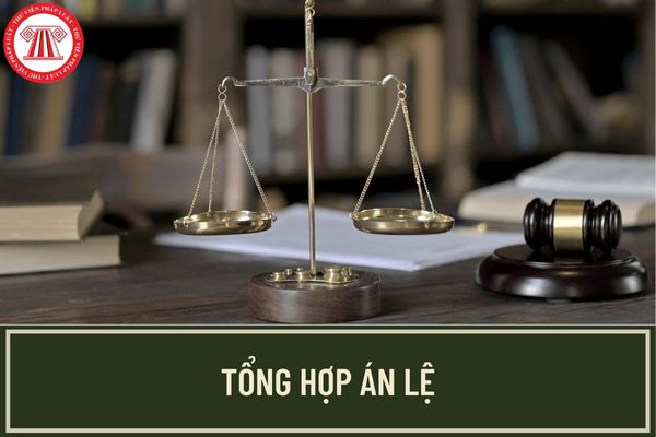 Tổng hợp 63 án lệ đã được công bố ở Việt Nam hiện nay? Án lệ được áp dụng xét xử như thế nào?