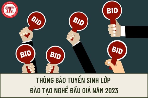 Học viện Tư pháp thông báo tuyển sinh lớp đào tạo nghề đấu giá năm 2023? Thời gian nộp hồ sơ là đến khi nào?