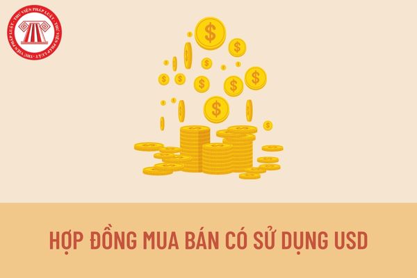 Hợp đồng mua bán giữa hai bên đều là doanh nghiệp Việt Nam thì giao dịch bằng tiền USD có được xem là hợp pháp không?
