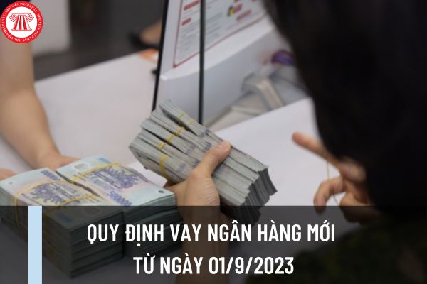 Quy định vay ngân hàng mới từ ngày 01/9/2023 người đi vay cần lưu ý theo Thông tư 06/2023/TT-NHNN? 