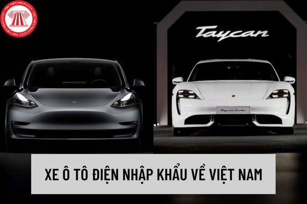 Xe ô tô điện nhập khẩu từ nước ngoài cần phải đóng những loại thuế nào? Cá nhân có được nhập khẩu xe ô tô điện để kinh doanh không?