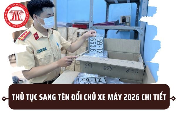 Pháp luật