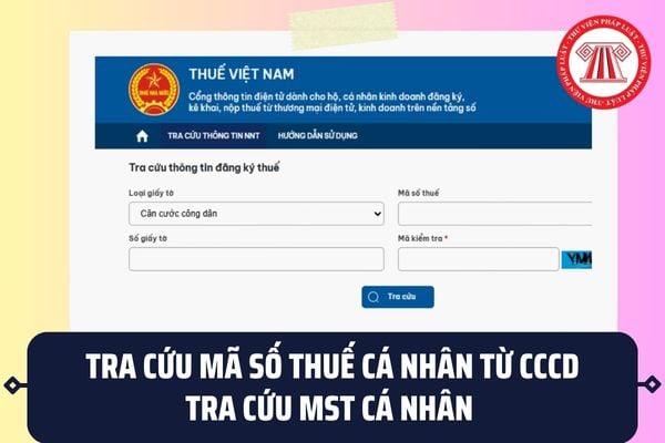 Pháp luật