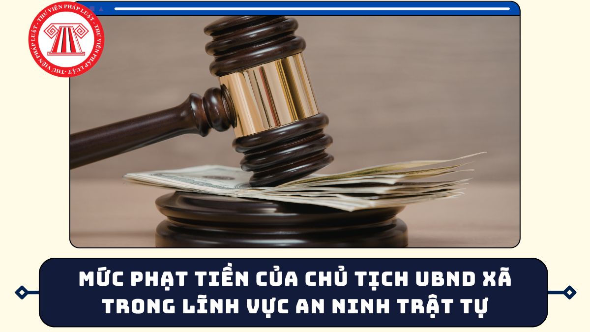 Pháp luật
