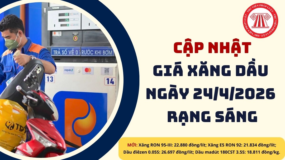 Pháp luật