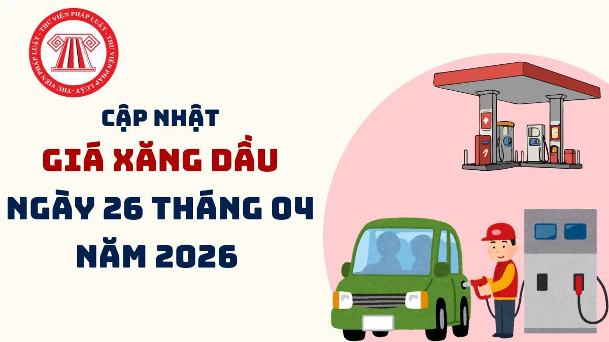 Pháp luật