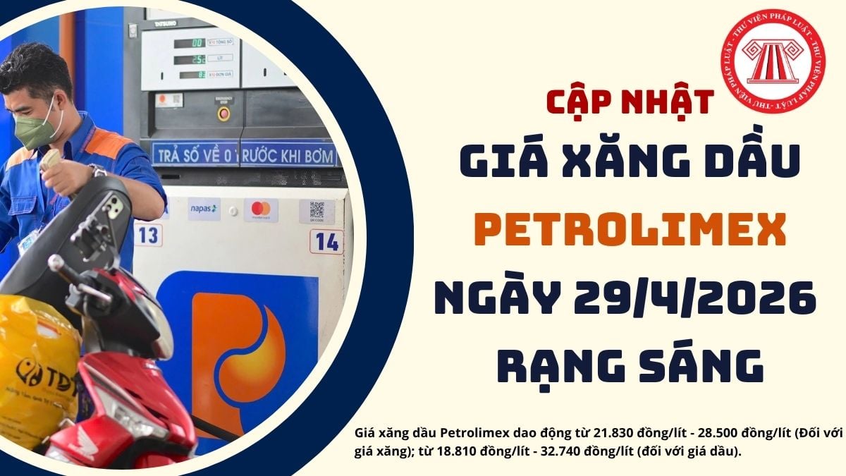 Pháp luật