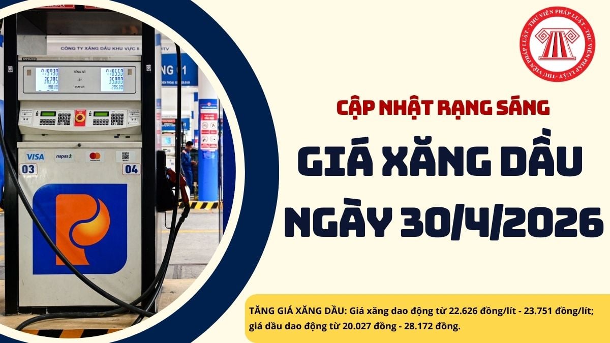 Pháp luật