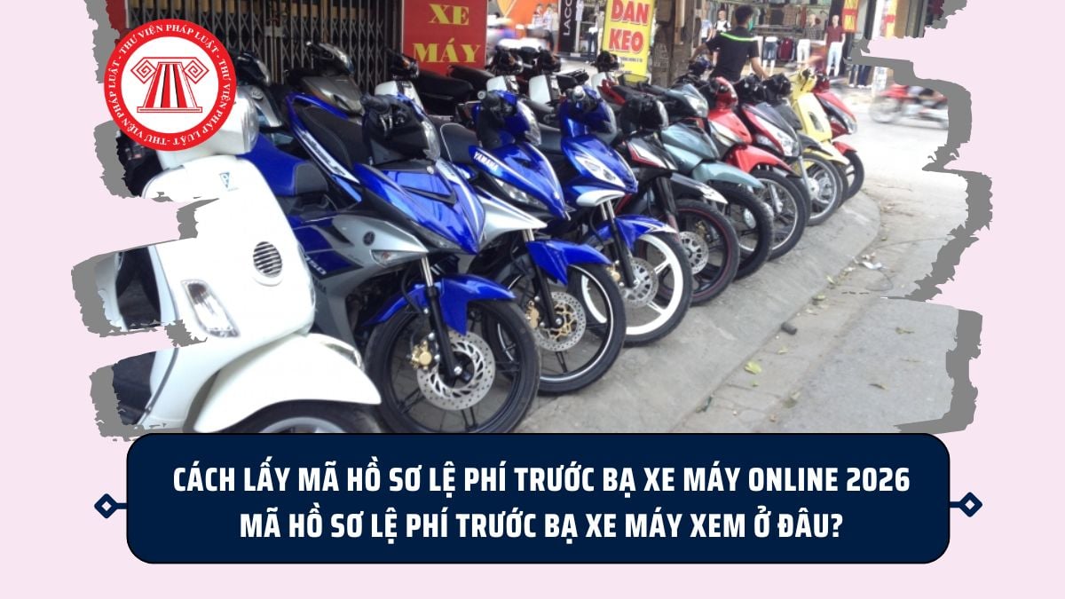 Pháp luật