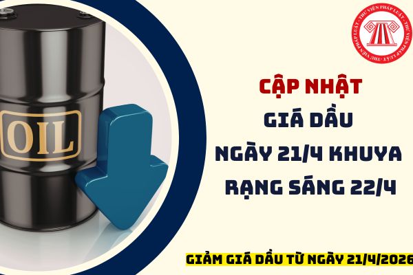 Pháp luật