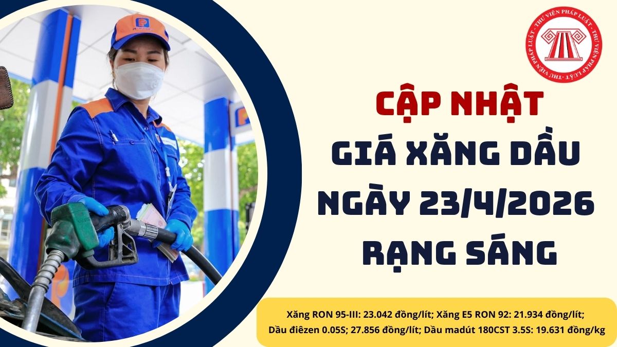 Pháp luật